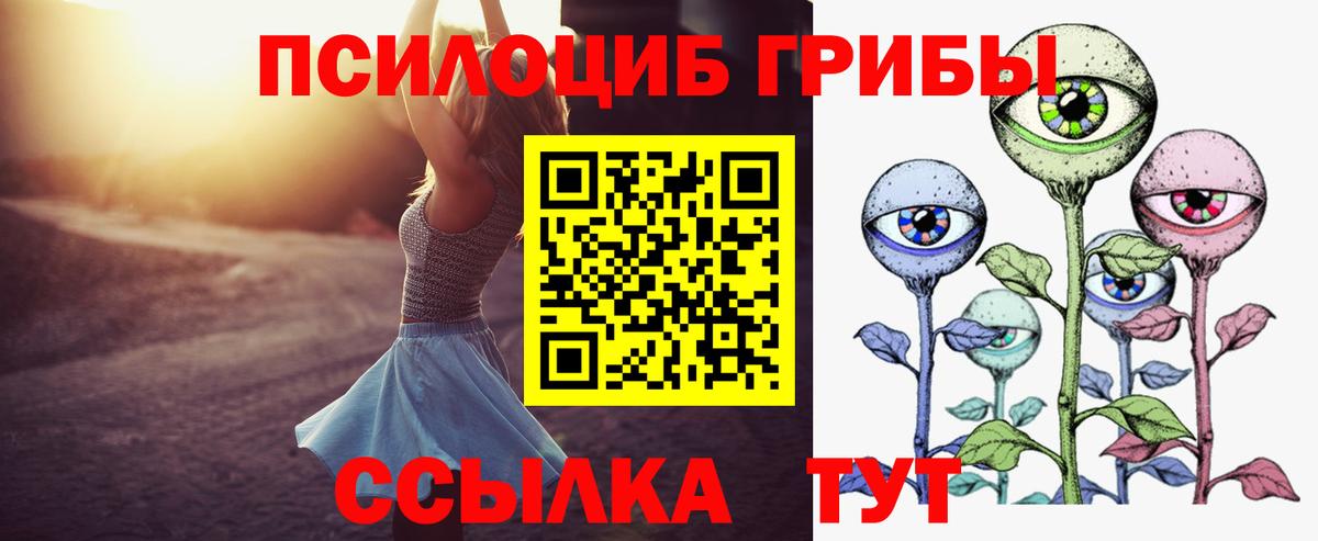 Псилоцибиновые грибы мицелий Анапа