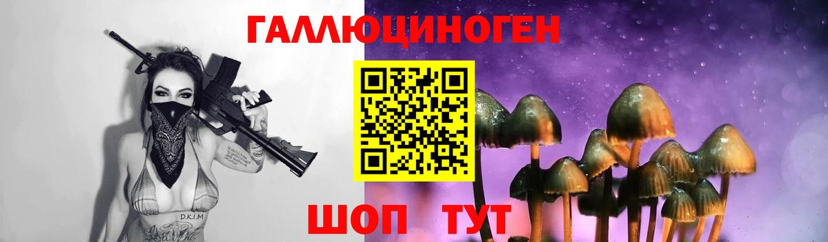 Псилоцибиновые грибы Psilocybine cubensis  Вход с VPN  Псилоцибиновые грибы ЛСД  Анапа 